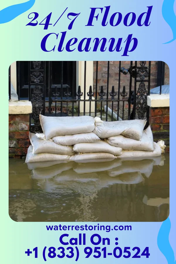 24/7 Flood Cleanup in Bethel, MN