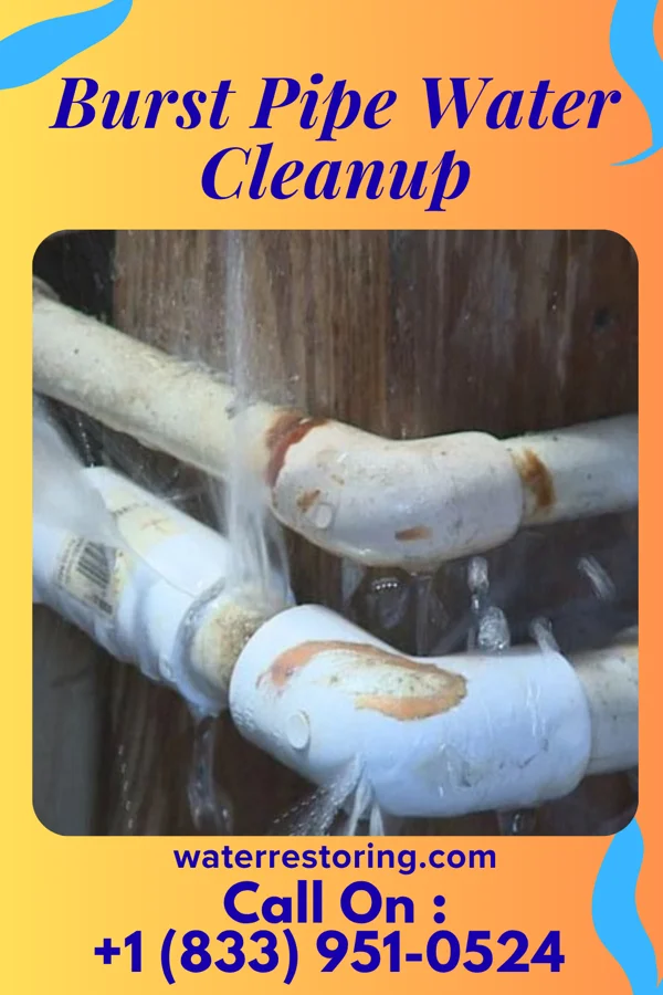 Burst Pipe Water Cleanup in Bethel, MN