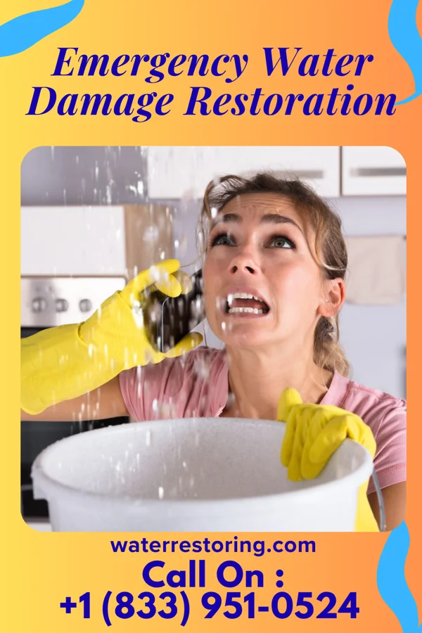 Emergency Water Damage Restoration in Bethel, MN