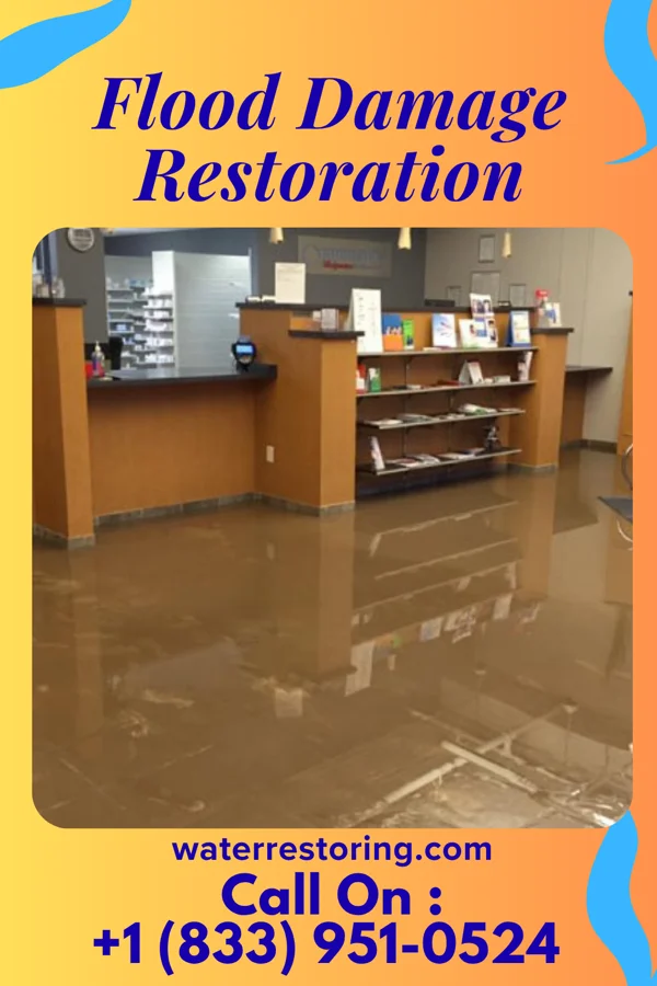 Flood Damage Restoration in Bethel, MN