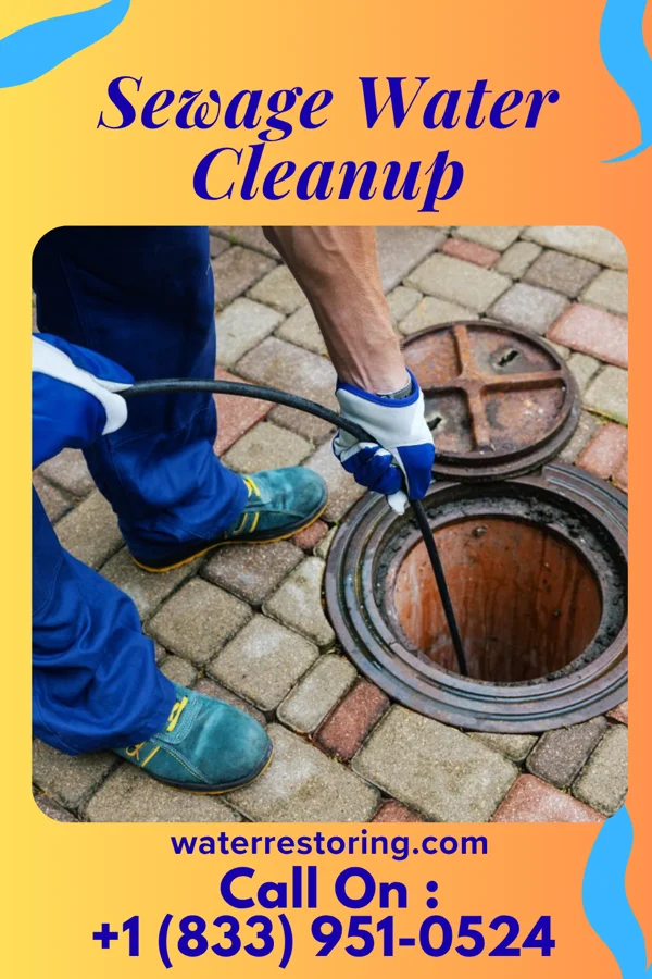 Sewage Water Cleanup in Bethel, MN